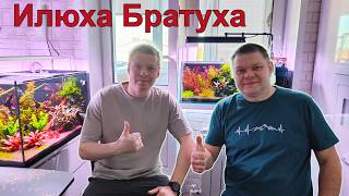 Илюха Братуха. Ярославль