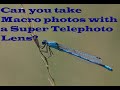 Can you take Macro photos with a Super Telephoto Lens?