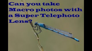 Can you take Macro photos with a Super Telephoto Lens?