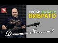 Урок бас гитары с Дмитрием Максимовым. 3 вида вибрато.