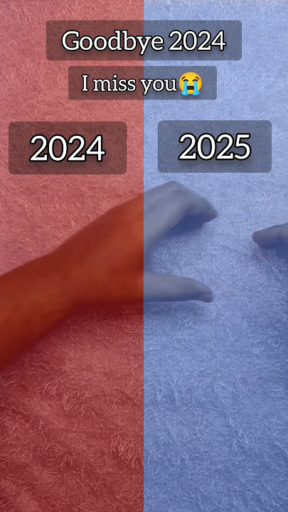 Goodbye 2024, Welcome 2025 💔