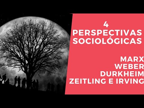 Vídeo: 4 Maneres De Determinar El Sociotip