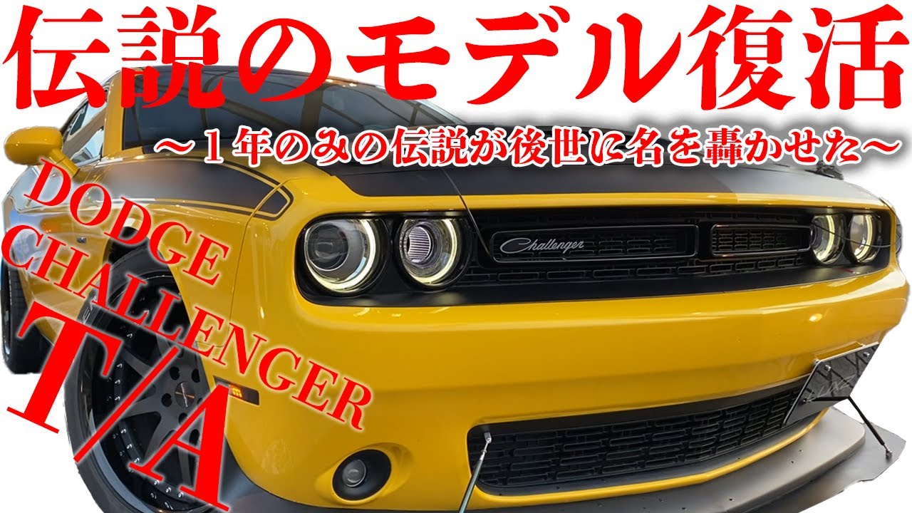 Challenger様 big_c2025011279hjth07533612017