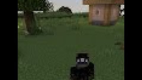 I caught the most toxic hacker (Hive Hide and seek)