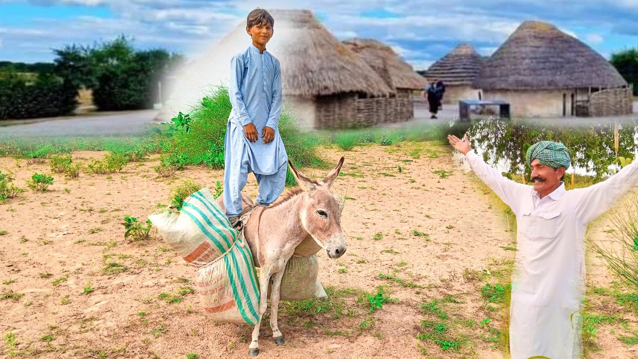Desert Traditional Village Life Desert Thar Village Life Natural Culture Desert Thar