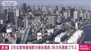 2月企業物価指数が過去最高　前年比0.6％上昇で36カ月連続プラス(2024年3月12日)