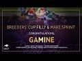 $1M Breeders' Cup Filly & Mare Sprint: Gamine