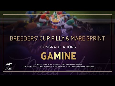 $1M Breeders' Cup Filly & Mare Sprint: Gamine