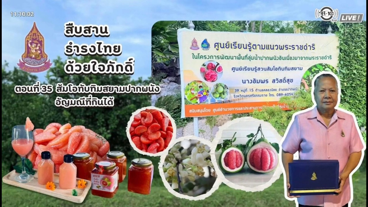 สืบสานธำรงไทย ด้วยใจภักดิ์ : ส้มโอทับทิมสยามปากพนัง อัญมณีที่กินได้