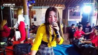 CAMELIA - JOKO TINGKIR ALL ARTIST - SENENG BARENG MAKELAR ONLINE PART 4