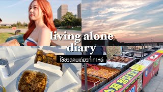 🇰🇷 LIVING ALONE IN KOREA. picnic at han river/having korean chicken/pretty skies | Babyjingko