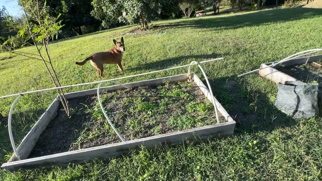 Vamos por el millón 💪🏻