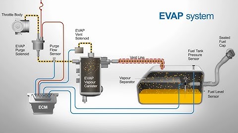Vented Evaporative Systems