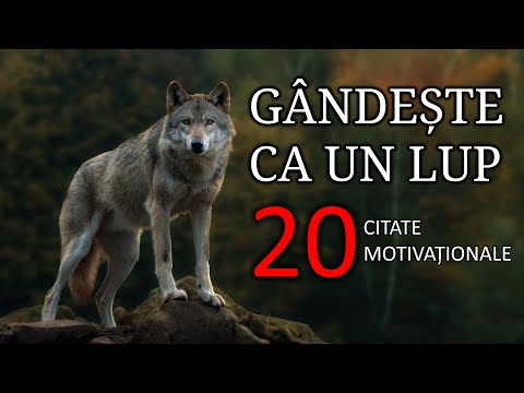 20 de Citate Motivaționale || Gândește ca un lup !