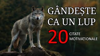 20 de Citate Motivaționale || Gândește ca un lup !