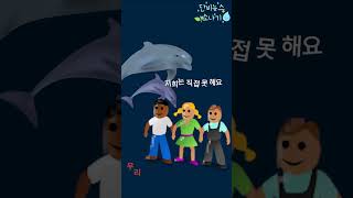 [단비 소나기] 제주 남방큰돌고래의 ‘생태법인’ 추진한다