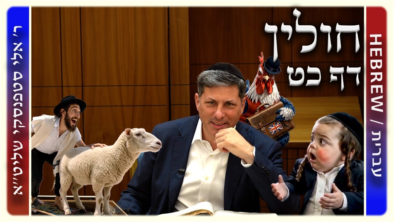 מרכז דף יומי - חולין דף כט. - ר' אלי סטפנסקי שליט"א