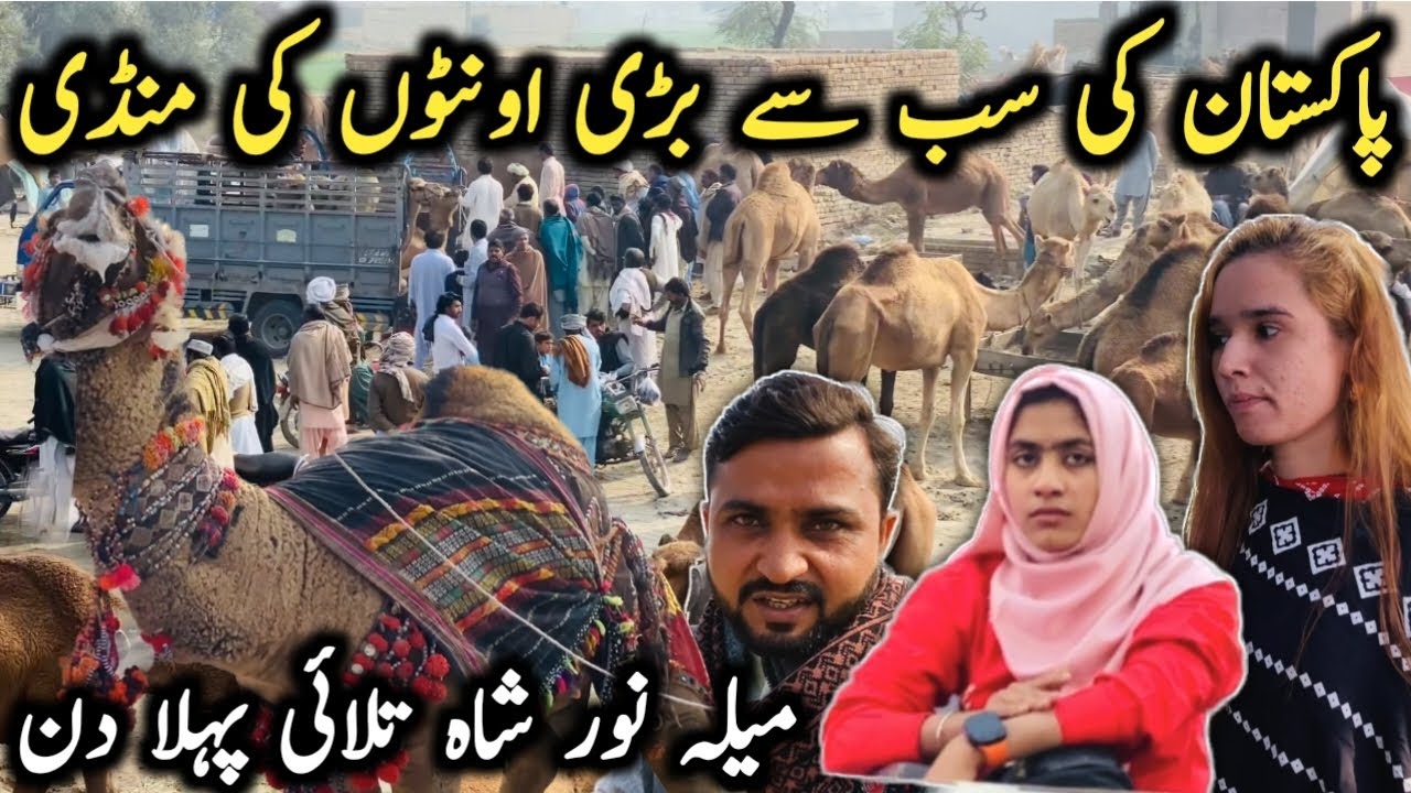 Pakistan Ke Sab Say Bari Onton Ke Mandi 🐫 میلہ نور شاہ تلائی پہلا دن
