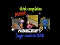 Minecraft sugar crash meme! |tiktok compilation