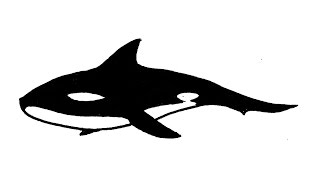 كيفية رسم الحوت أوركا (القاتل والحيوانات)