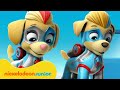 PAW Patrol La Pat Patrouille Le Meilleur Des Super Jumeaux De Pat Patrouille Nickelodeon Jr 