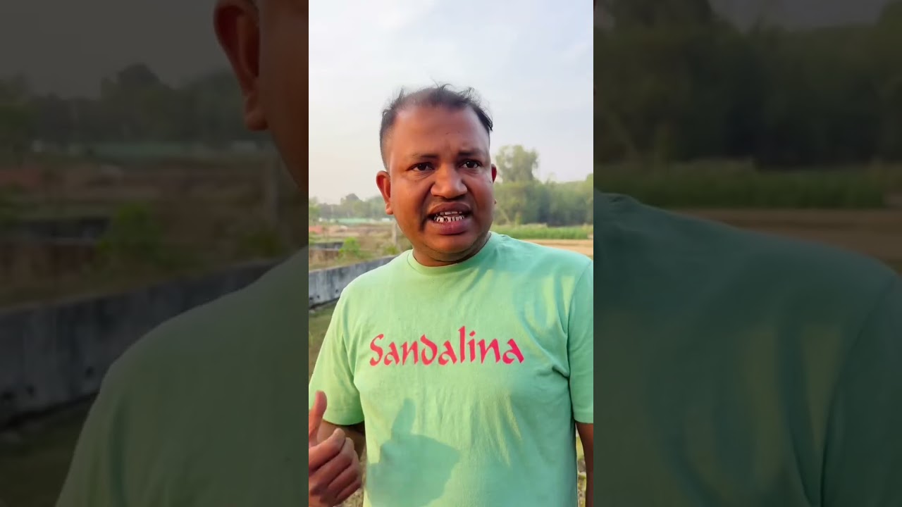 জামিনদার কট🤣