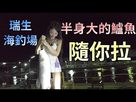 【 釣魚女神系】半身大的鱸魚隨你拉 台湾のエビ Shrimp fishing in Taiwan 대만에서 낚시