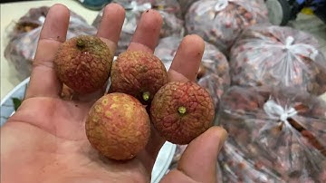 Cách Bảo Quản Quả Vải Trong Vài Tháng Vẫn Tươi Ngon Không Sợ Bị Hỏng