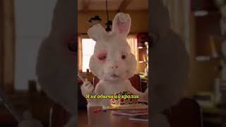 Save Ralph Tiktok Video Stop Please