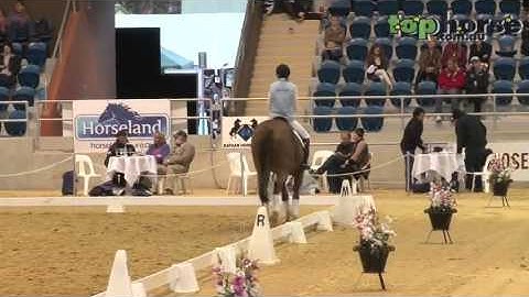 2012 QLD FOD Developing the Canter Pirouette with Carlos de Cleermaecker Video Credit Top Horse