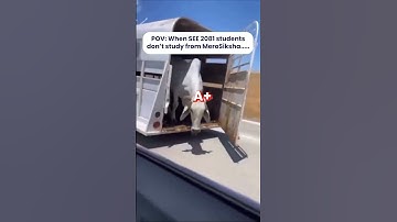 How to get A+ on SEE 2081 Exam 🎯| SEE 2081 | Grade 10 SEE | | Class 10 Guide | SEE Routine | Nepal