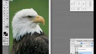 Finding the highlight and shadow points in an image using Photoshop.