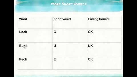 Unit 1 Lesson 2 Foundational Skills