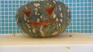 How to carve Jack-o -lantern