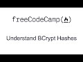 Understand BCrypt Hashes - Information Security with HelmetJS - Free Code Camp