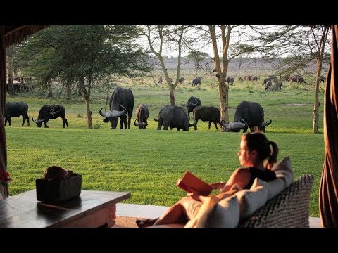 Sirikoi Lodge | Kenya Luxury Safari