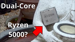What Would A Dual-Core Zen 3 Cpu Perform Like? Stefantests