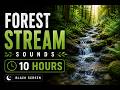 Forest Stream Sounds for Deep Sleep & Relaxation | Black Screen | 10 Hours