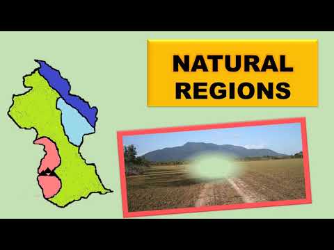 Guyana&rsquo;s Natural Regions