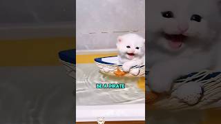 This kitten thought it was ready for a vacation...#funnyshorts #pets #cute #love
