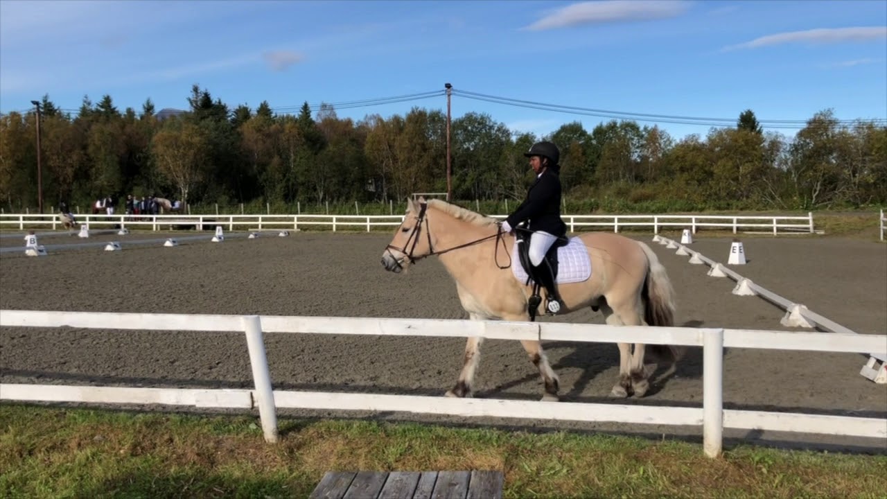 Dressurstevne Skånland Lc1 // Anisha og Pilgrim 15.09.18 - YouTube