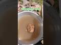 Very Strange Floating Rock! #pumice #floatingrock