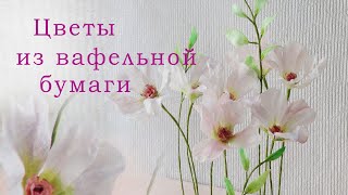 ЭФФЕКТНО и ВЫГОДНО/Wafer paper flowers/زهور من ورق الويفر