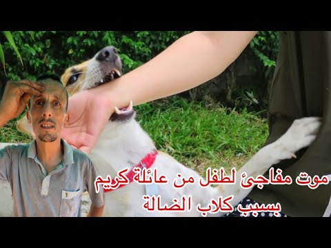 حزن و آسى موت مفاجئ لحفيد الأخ كريم بسبب كلاب الضالة حذاري ثم حذاري 