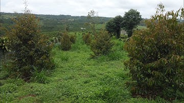 BĐS ĐĂK GLONG  - VƯỜN ĐẸP VÙNG VEN