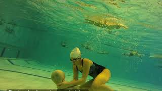 Recherche Des Voies Respiratoires