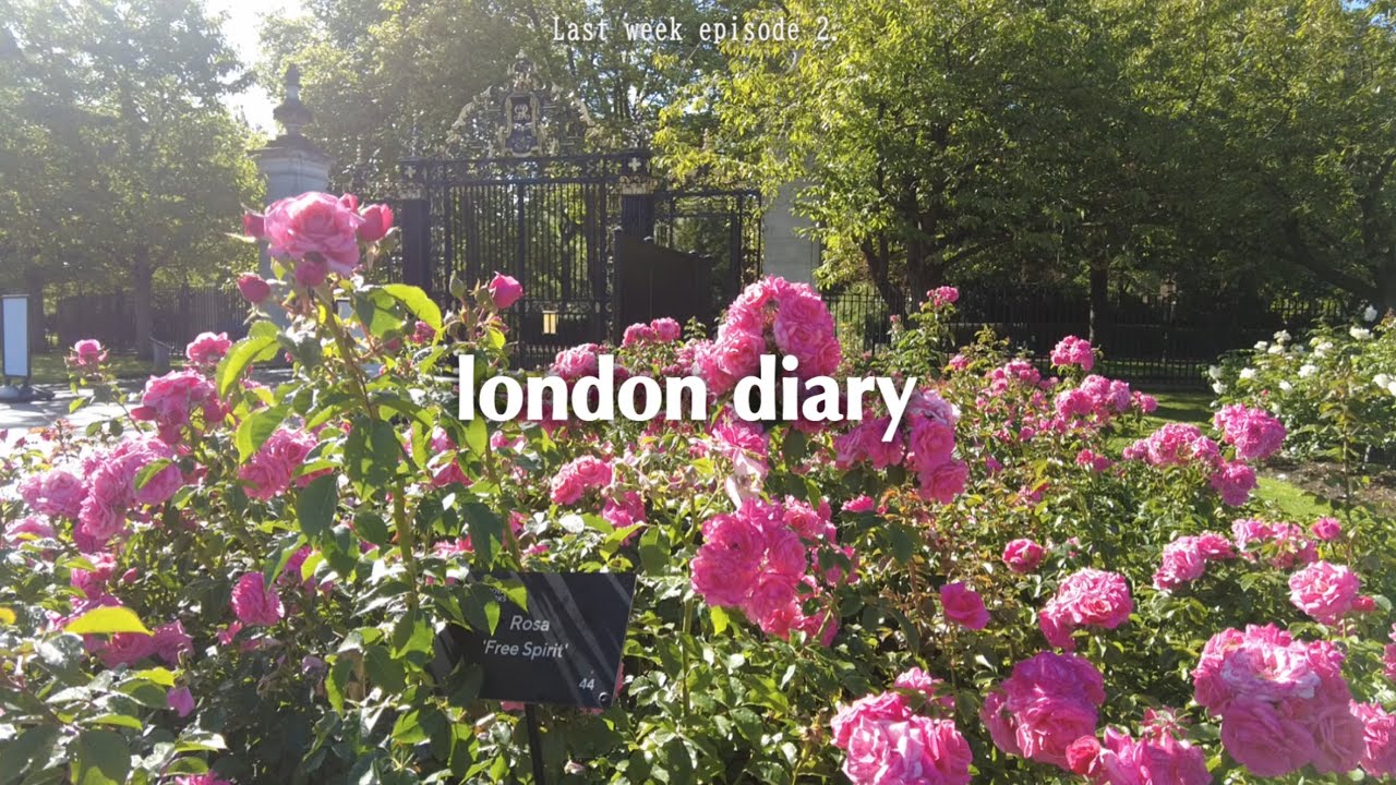 🇬🇧 london diary l  last week ep2.  Cambridge  Farewell Party