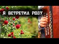 Я встретил розу... на гармони