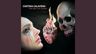 Video thumbnail of "Cantina Calavera - Contigo Todo Lo Perdí"