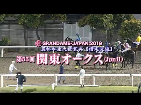 【川崎競馬】関東オークス 2019　レース速報
